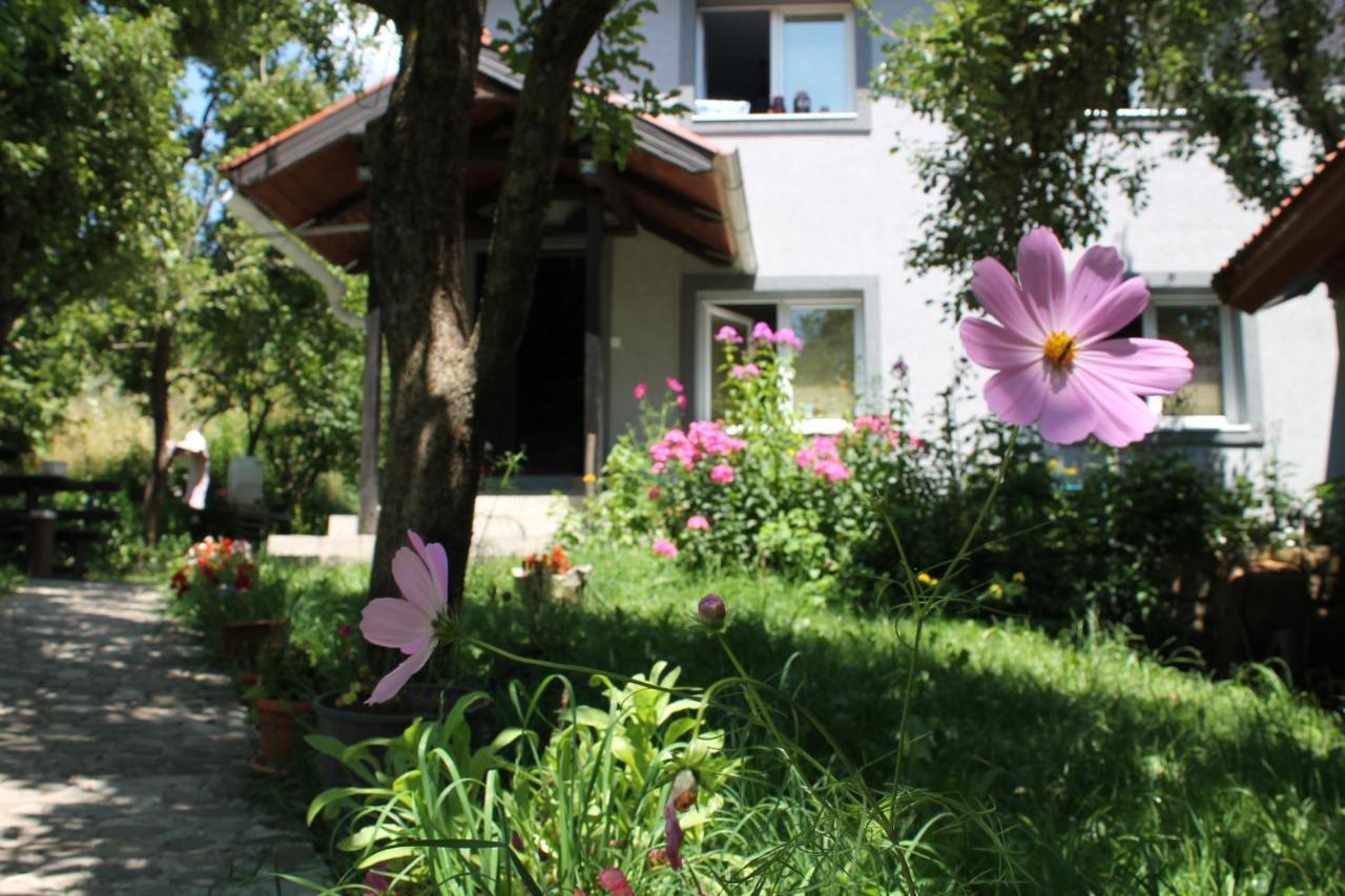 Guest Accommodation Bakic Kolasin Exterior photo